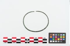 Foto von Bronzebandarmreif (NHMW-PRAE-024993)